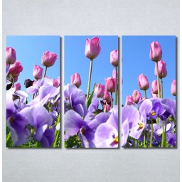 Slike na platnu Purple Flowers Nina30293_3