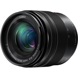Panasonic G Vario 12-60mm f/3.5-5.6 ASPH Power OIS