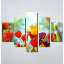 Slike na platnu Tulips 30325_5