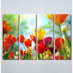 Slike na platnu Tulips 30325_4