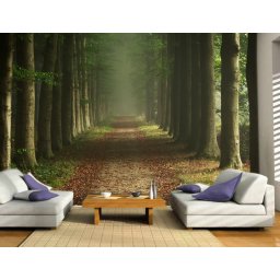Foto tapeta Zelena šumaTapet002