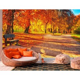 Foto tapeta Jesenje boje u šumi Tapet031