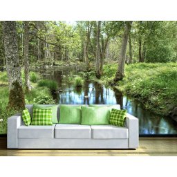 Foto tapeta Reka kroz šumu Tapet017