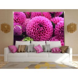 Foto tapeta Veliki pink cvetovi Tapet010