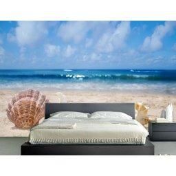 Foto tapeta Plaža i školjke Tapet006