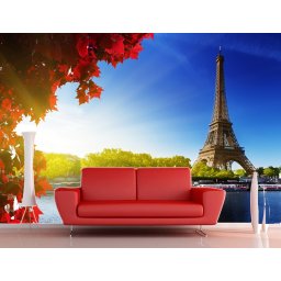 Foto tapeta Pariz Tapet043