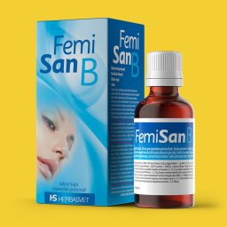 FEMISAN B KAPI