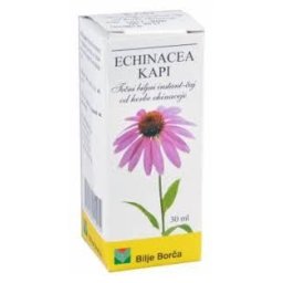 BILJE BORČA EHINACEA KAPI