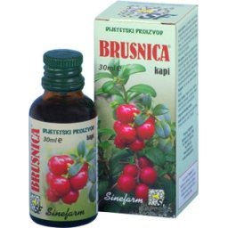 SINEFARM KAPI BRUSNICE