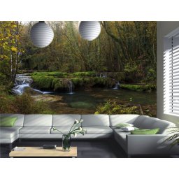 Foto tapeta Šuma Tapet066