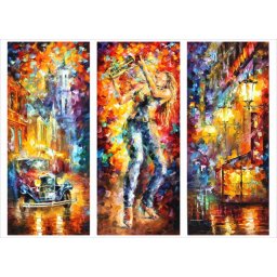 Leo, uramljena slika triptih 30x70cm svaka