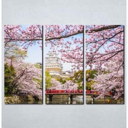 Slike na platnu Sakura Japan Nina083_3