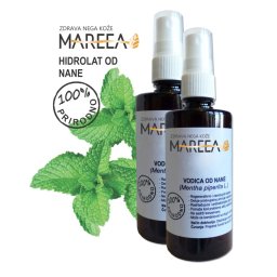 HIDROLAT MENTE 100ML