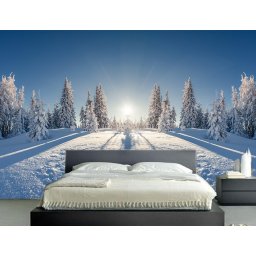Foto tapeta Zima na planini Tapet089