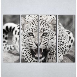 Slike na platnu Leopard Nina123_4