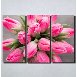 Slike na platnu Roze Tulipani Nina159_3
