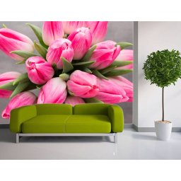 Foto tapeta Roze lale Tapet109