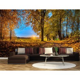 Foto tapeta Sunce u jesen Tapet114