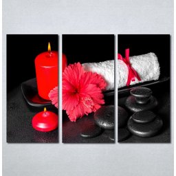Slike na platnu Wellness spa crveni cvet Nina182_3