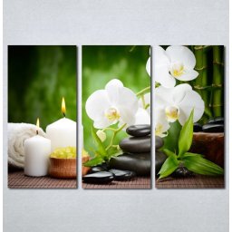 Slike na planu Wellness spa bela orhideja Nina 181_3