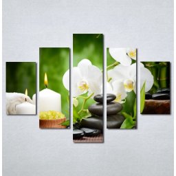 Slike na platnu Wellness spa bela orhideja Nina 181_5