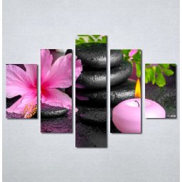 Slike na platnu Wellness spa roze orhideja Nina 180_5