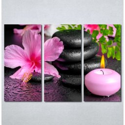 Slike na planu Wellness spa roze orhideja Nina 180_3