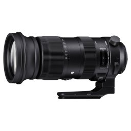 Sigma 60-600mm f/4.5-6.3 DG OS HSM Sports