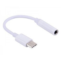 FAST ASIA Adapter TIP C na 3.5mm stereo jack mz