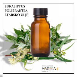 ETARSKO ULJE EUKALIPTUS POLIBRAKTEA 10ml