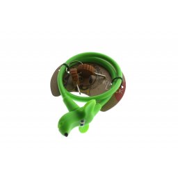 Brava-dečja sa ključem zelena