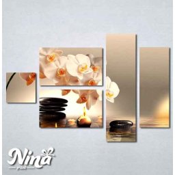 Slike na platnu Bela orhideja Nina225_5
