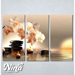 Slike na platnu Bela orhideja Nina225_3