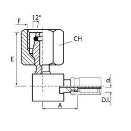 A2 6L MC 2,1