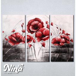 Slike na platnu Polje maka Nina229_3