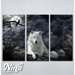 Slike na platnu Vuk Nina230_3