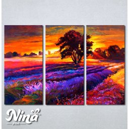 Slike na platnu Zalazak sunca i sarena poljana Nina239_3
