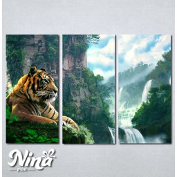 Slike na platnu Tigar Nina245_3