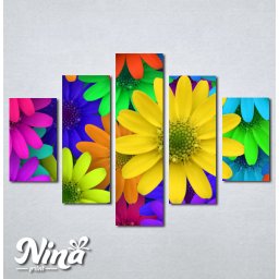 Slike na platnu Šareno cveće Nina250_5