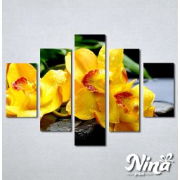 Slike na platnu Žuta orhideja Nina252_5