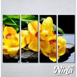 Slike na platnu Žuta orhideja Nina252_4