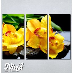 Slike na platnu Žuta orhideja Nina252_3