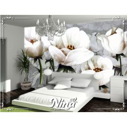 Foto tapet Beli cvet Tapet227