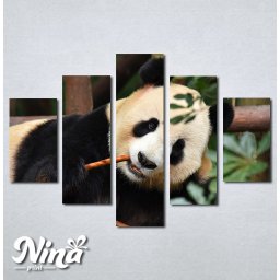 Slike na platnu Panda Nina268_5