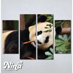 Slike na platnu Panda Nina268_4