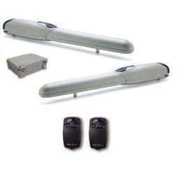 NICE WINGO 2024 - FLOR