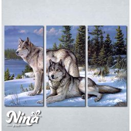 Slike na platnu Vukovi Nina273_3
