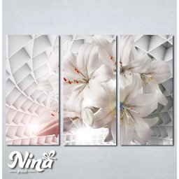 Slike na platnu Ukrasni ljiljan Nina282_3