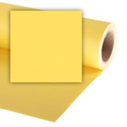 LL CO116 2.72x11m DANDELION