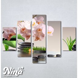 Slike na platnu Roze orhideja Nina304_5